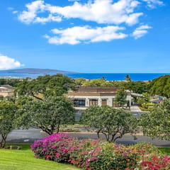 Wailea Ekolu 102