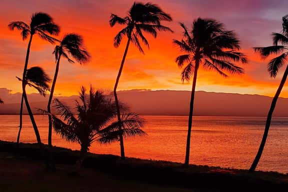 Maalaea Banyans 411 - Image 1