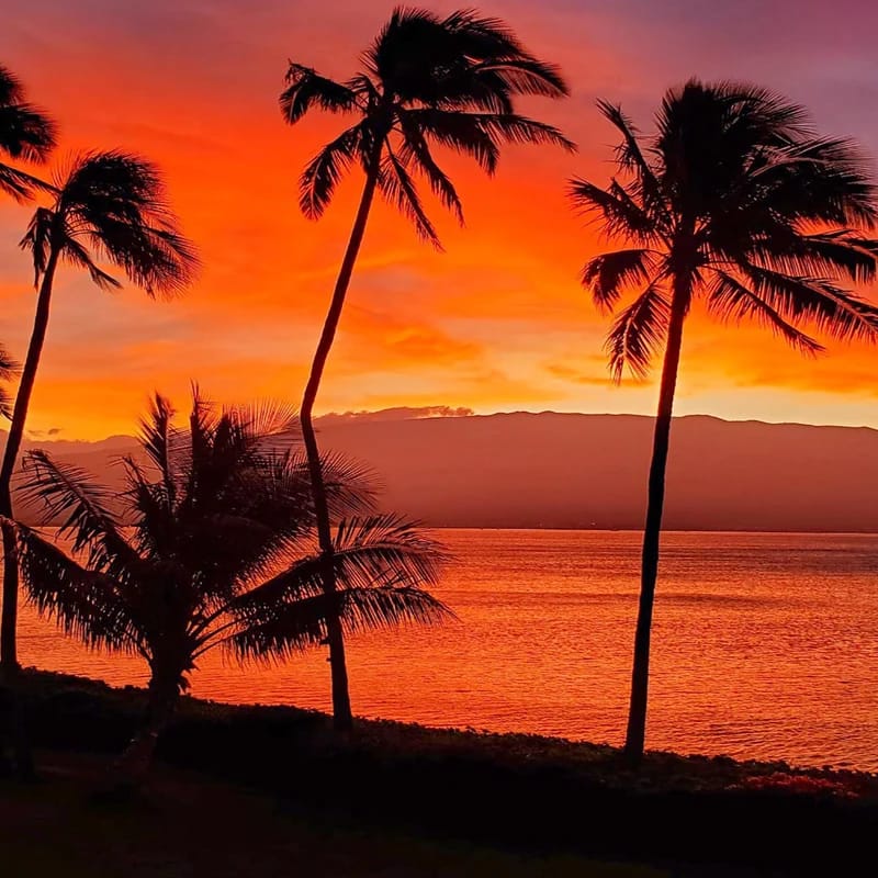Maalaea Banyans 411