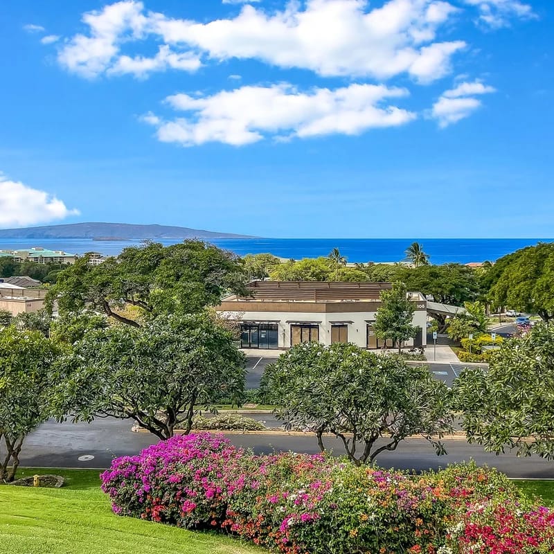 Wailea Ekolu 102
