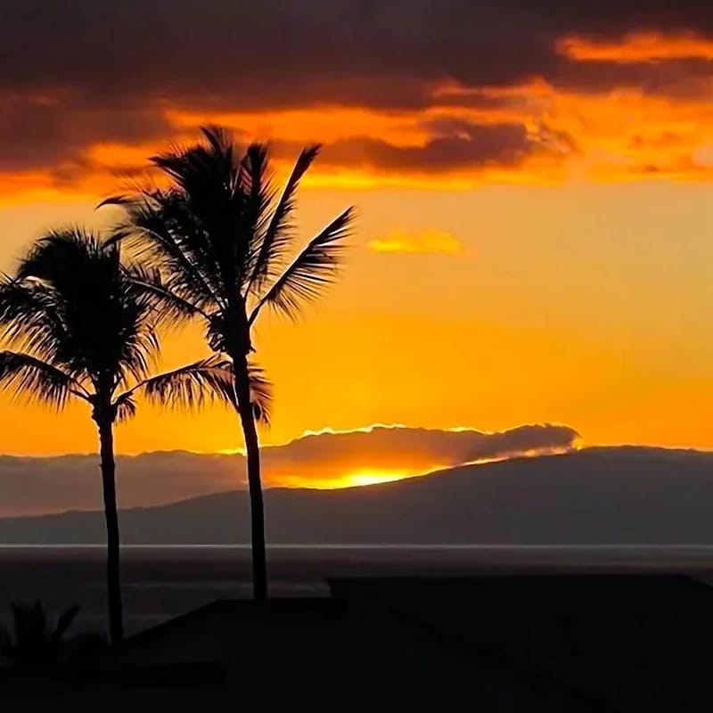 Wailea Ekolu 407